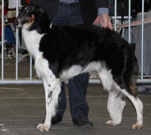 Juste une evidence Des Fils De Boree